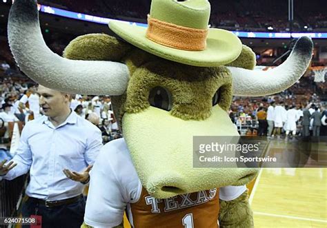 80 Longhorn Mascot Stock Photos, High-Res Pictures, and Images - Getty ...