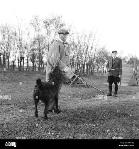 Man standing next to a police dog during police dog training ca. 1945 Stock Photo - Alamy