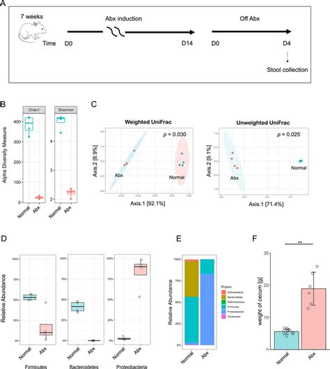 Induction of antibiotics manipulates the gut microbiome. A Rats induced... | Download Scientific ...