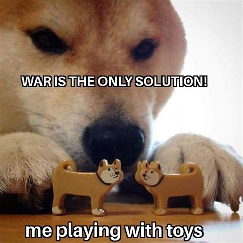 FIGHT FIGHT FIGHT | /r/dogelore | Ironic Doge Memes | Know Your Meme