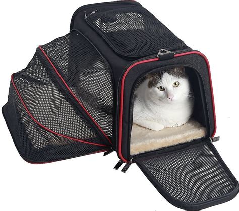 Petsfit Expandable Dog & Cat Carrier, Black, Small - Chewy.com