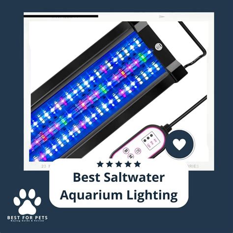 The 10 Best Saltwater Aquarium Lighting - BestForPets.org