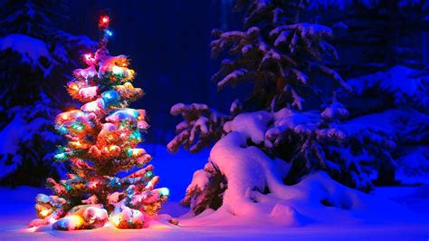 🔥 [50+] Lighted Christmas Tree Wallpapers | WallpaperSafari