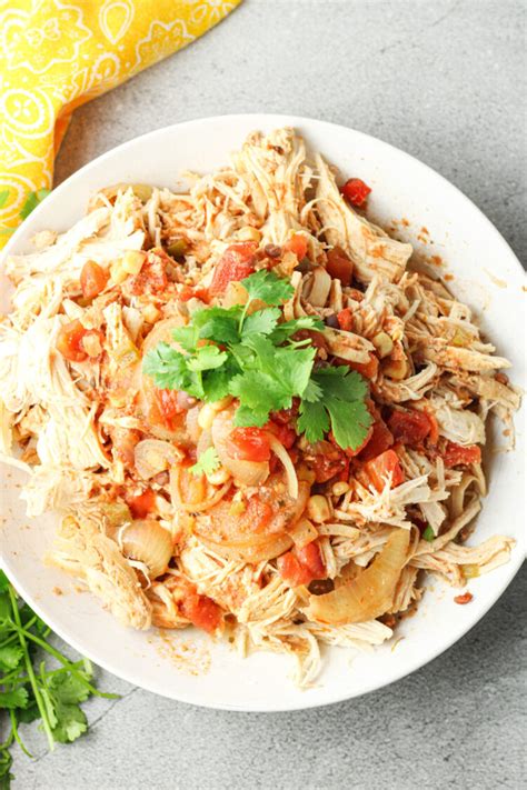 Salsa Chicken Recipe - Feeding Your Fam