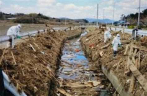 Japanese dash to recover decomposing bodies near Fukushima