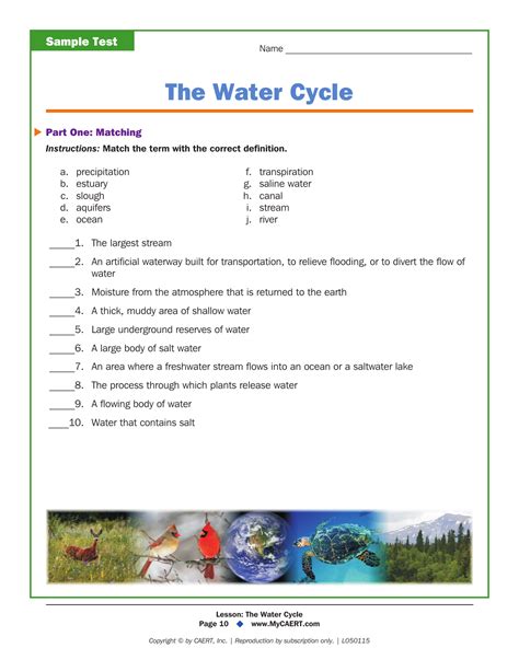 The Water Cycle Worksheet Answers – English Worksheet