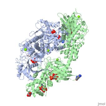 Hexokinase - Proteopedia, life in 3D