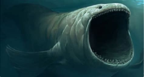 Giant Sea Creature? Icequake? What Was "The Bloop?" [Video]