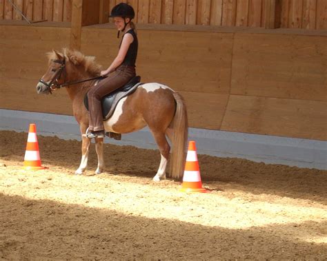 Kinder lernen Reiten | Reiten lernen mit System