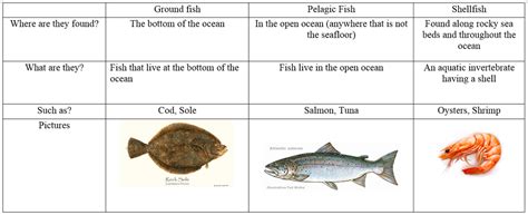 What Are the Differences Between Ground Fish, Pelagic Fish and Shellfish - Wish For Fish