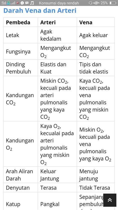 Perbedaan pembuluh arteri dan vena - perbedaanantara.com