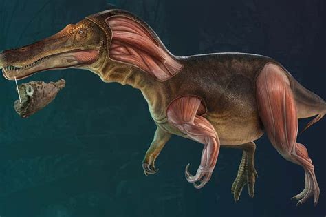 New dinosaur: Species had teeth that were constantly replaced | New Scientist