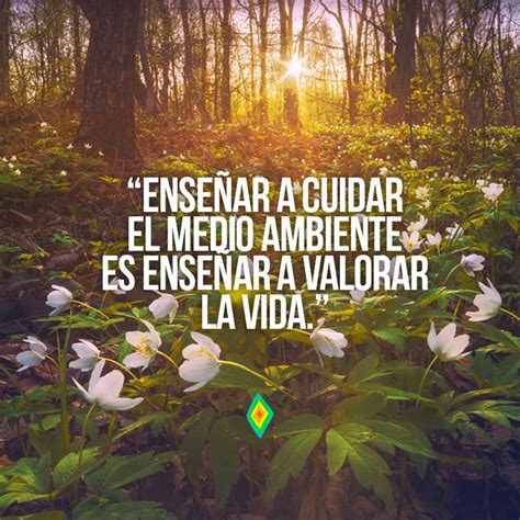 Más de 25 ideas increíbles sobre Frases ecologicas en Pinterest | Frases de medio ambiente ...