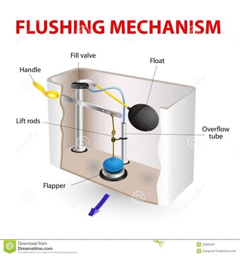 Diagram Of Toilet Bowl