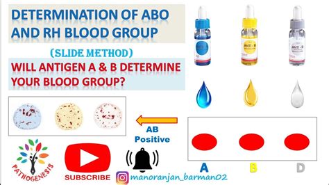 Determination Of ABO And Rh Blood Typing Of ABO Rh Blood, 47% OFF