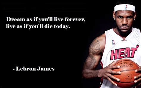 [53] Citation Basket Lebron James