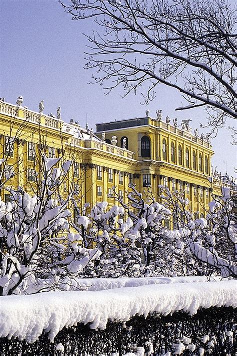 winter in Vienna, Schoenbrunn Palace, nice walks, dreamy afternoons in ...