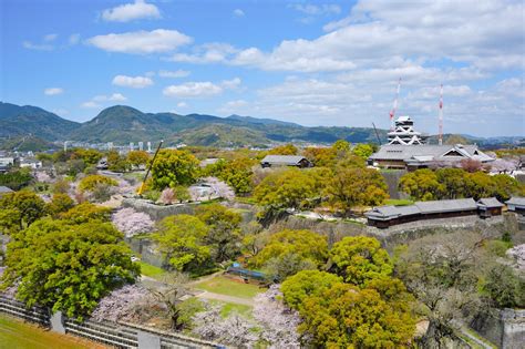 Cherry Blossoms and the Kumamoto Castle Restoration | Nippon.com