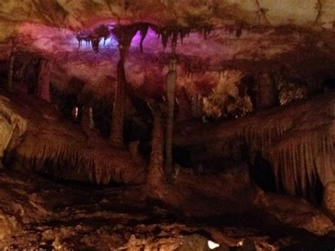 Inner Space Cavern in Georgetown, TX | Cavern, Visit austin, Family ...