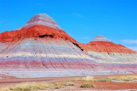 Colorful 225-Million-Year-Old Fossils Are Just One Highlight of This ...