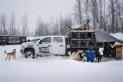 alaska iditarod willow - Siri Raitto Photography