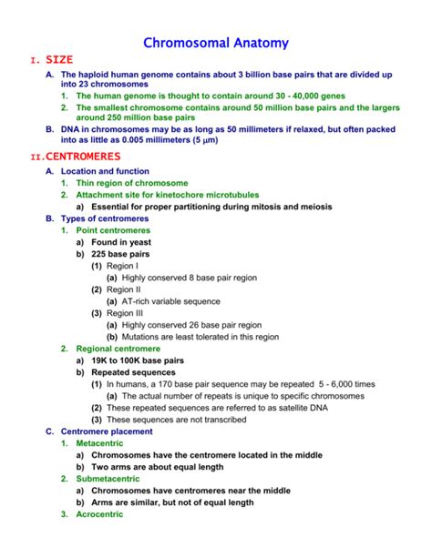 chromosome2