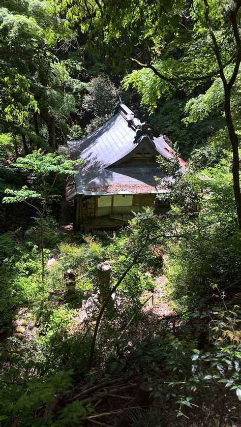 Abandoned Buddhist Temple in Japanese Forrest : r/AbandonedPorn