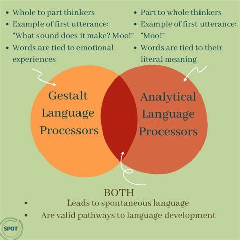 What are gestalt language processors? - SPOT Children's Therapy Centre