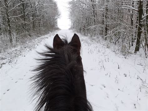 Things to consider before riding in the snow