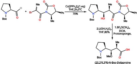 Reformatsky Reaction: Mechanism, Variations & Applications - PSIBERG