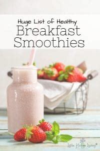 35+ Best Healthy Breakfast Smoothies - Easy and Quick Breakfasts