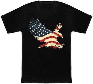 Bald Eagle And The American Flag T-Shirt - Stuff with Animals