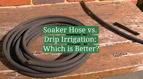 Soaker Hose vs. Drip Irrigation: Which is Better? - GardenProfy