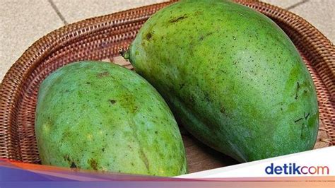 Mengenal Mangga Manalagi, Tips Memilih Hingga Resep Olahannya