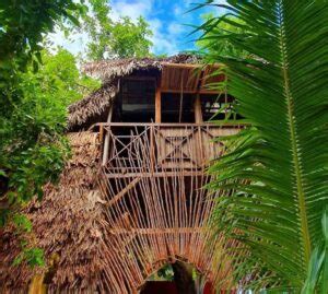 3 Best Madagascar Treehouse Rentals 2023 - Top Treehouses