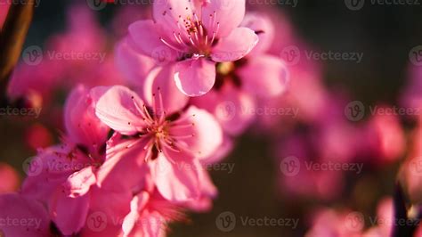 Chinese landscape photography 8347375 Stock Photo at Vecteezy