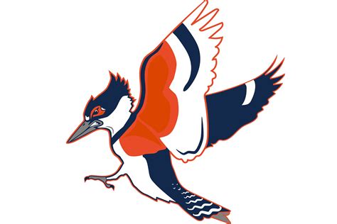 The University of Illinois Might Make a Kingfisher Its New Mascot. It ...