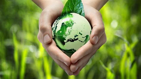 A universal right to a healthy environment: 5 things business should know - Ardea International