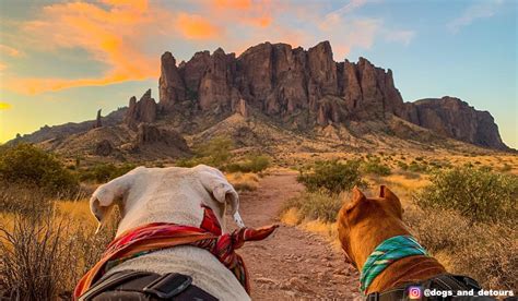 Arizona Hiking Trails | Arizona State Parks