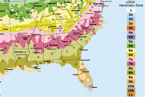 Planting Zone 7b Map - Alayne Lisabeth