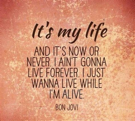 Bon Jovi It's My Life Lyrics - Lina Pdf