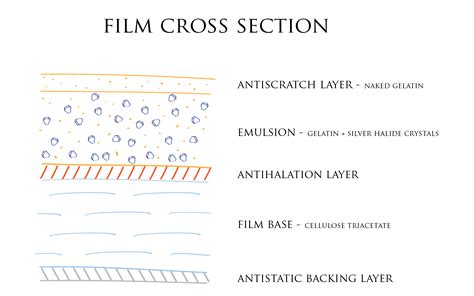 Film processing chemistry, how does it work? | Film Photography Blog