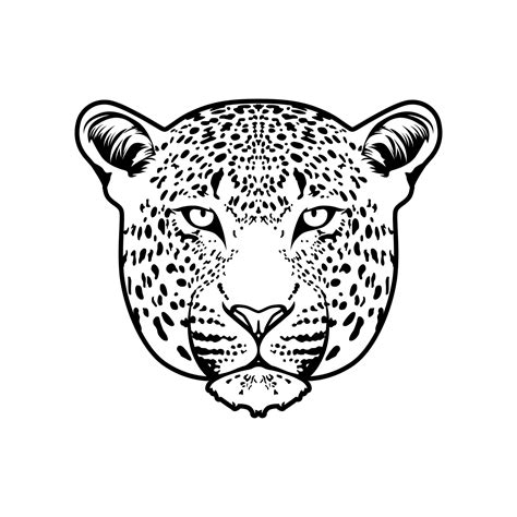 Leopard Face Vector design inspiration 6097528 Vector Art at Vecteezy