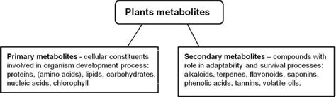 Bioactive Molecules Profile from Natural Compounds | IntechOpen