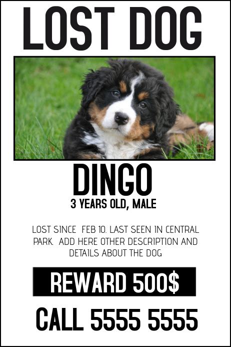 Lost Pet Posters | Revelstoke Humane Society