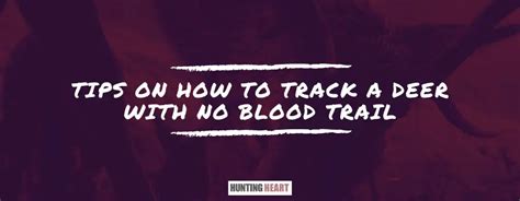 Tips on How to Track a Deer with No Blood Trail - Hunting heart