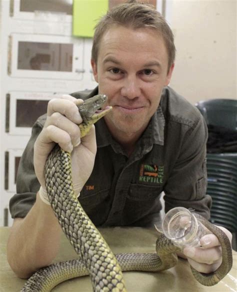 The Ten Most Venomous Snakes in Australia | Wildest