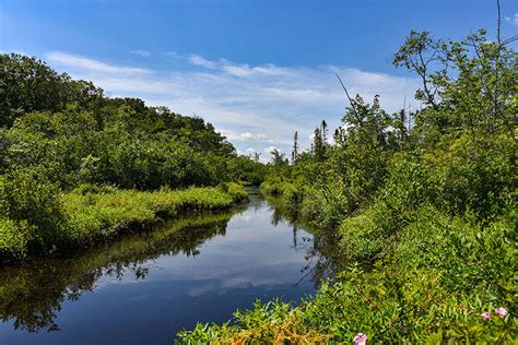 Things to See & Do at Archbald Pothole State Park | DiscoverNEPA