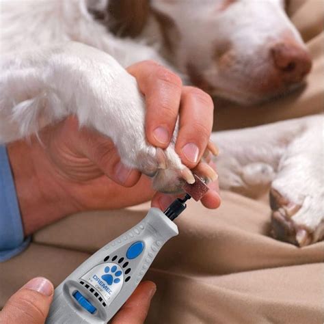 I'm a Vet—and These Are the Only Dog Nail Clippers I Use