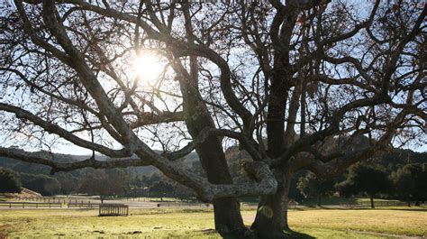 Which Monterey County parks are now open to the public? Here's a list